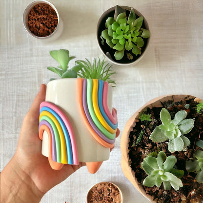 Wavy Rainbow Ceramic Succulent Pot