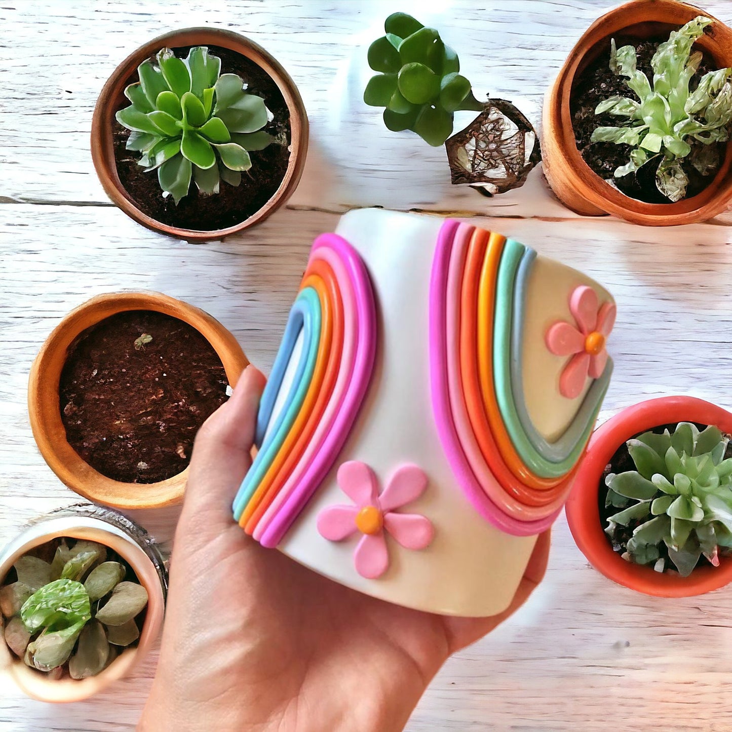 Rainbow & Flower Ceramic Succulent Pot