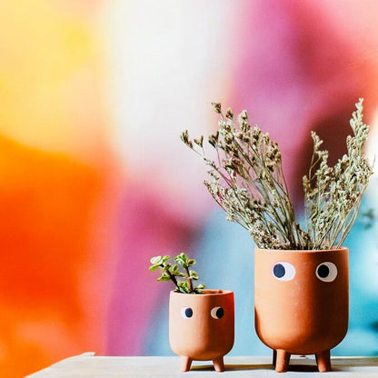 Googly Eyes Ceramic Succulent Planter - Set of 2