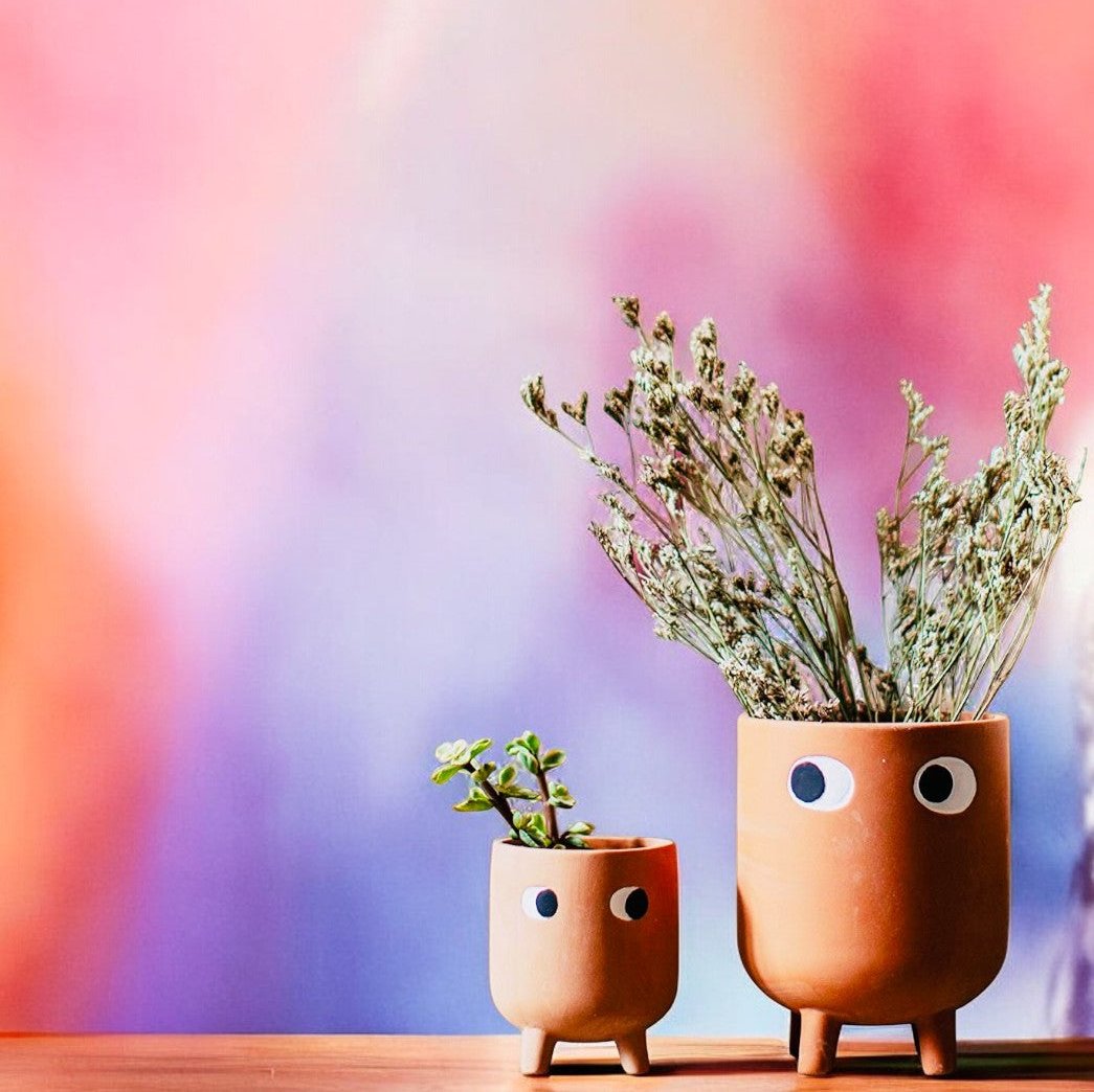 Googly Eyes Ceramic Succulent Planter - Set of 2