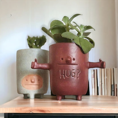 Hug Me Succulent Pot