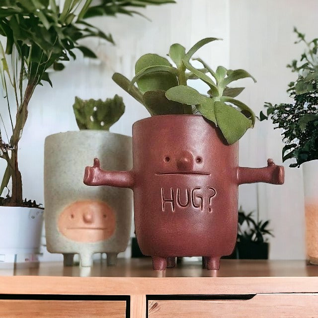Hug Me Succulent Pot
