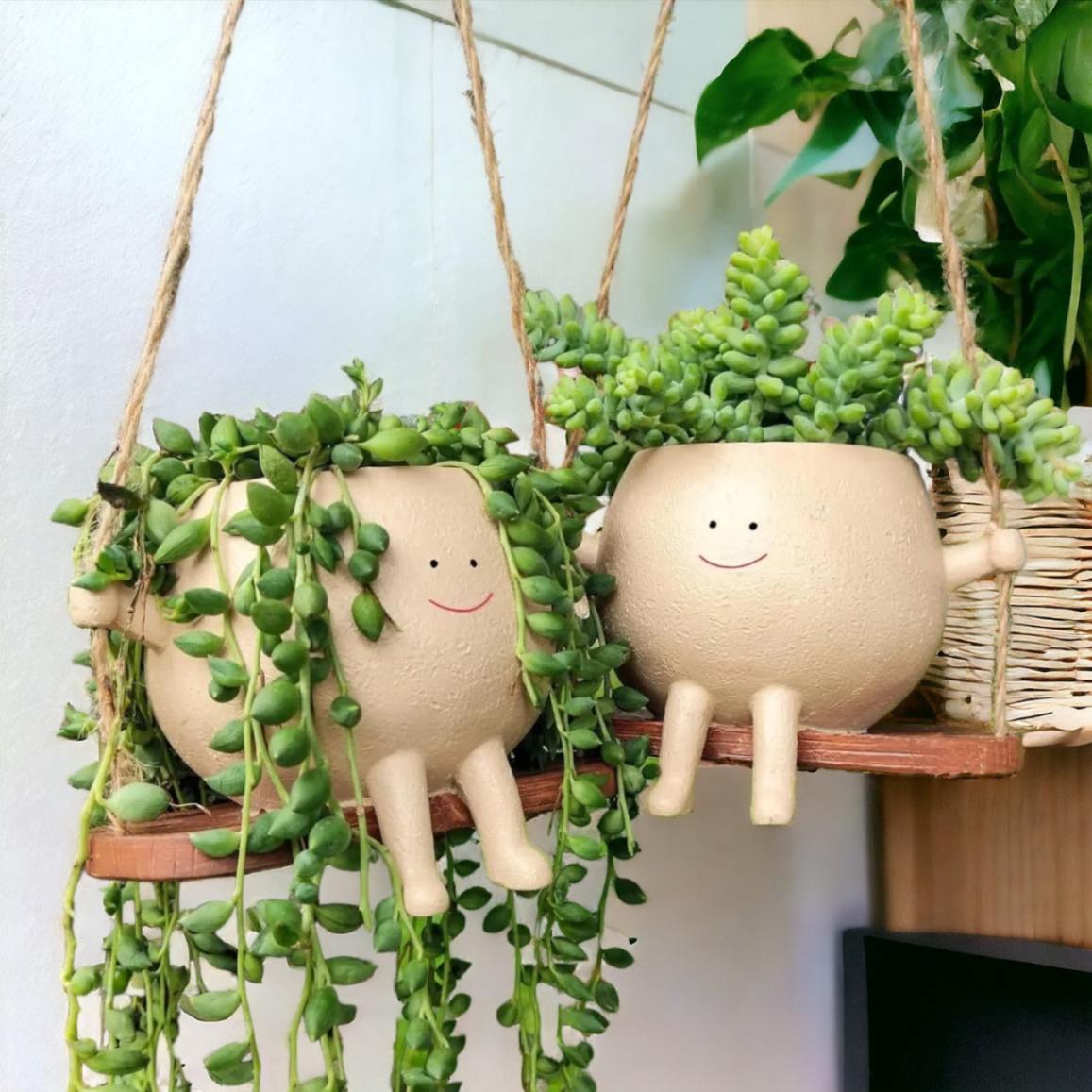 Swinging Boy Succulent Planter