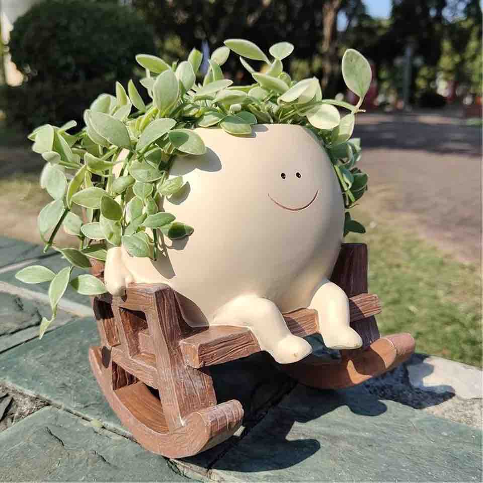 Rocking Boy Succulent Planter